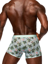 Male Power Sheer Prints Seamless Sheer Boxer Shorts Flamingo Small Mens Trunks