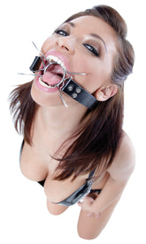 Fetish Fantasy Extreme Spider Gag – Steel Open Mouth Gag Clear Gags