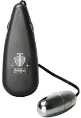 Silver Vibrating Egg with Wired Remote for Clitoral Stimulation BULLETS