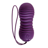 Eager Egg Plum Wireless Vibrating Adult Intimacy Toy EGGS