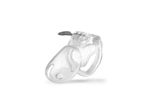 BRUTUS Spider Cage - Metal Chastity Cage • 109,00€