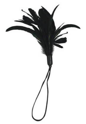 Pleasure Feather Feather Tickler with Wrist Cord – Rooster Feather Sensory Toy > Bondage Gear > Ticklers