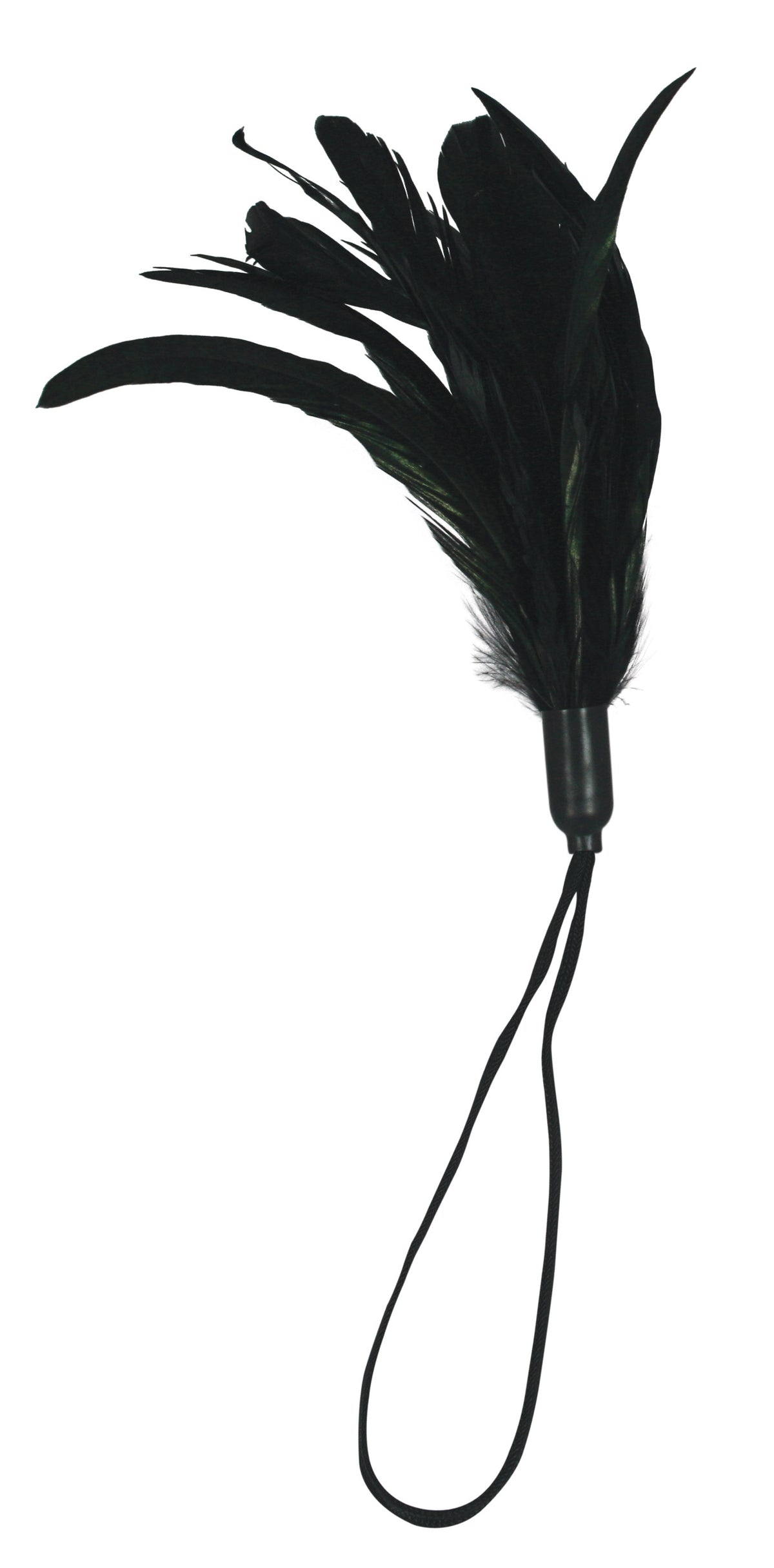 Pleasure Feather Feather Tickler with Wrist Cord – Rooster Feather Sensory Toy Black > Bondage Gear > Ticklers