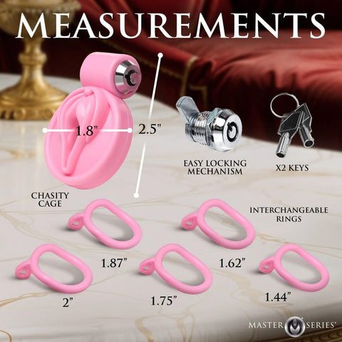 Master Series Pussification Vulva Chasity Cage Cages
