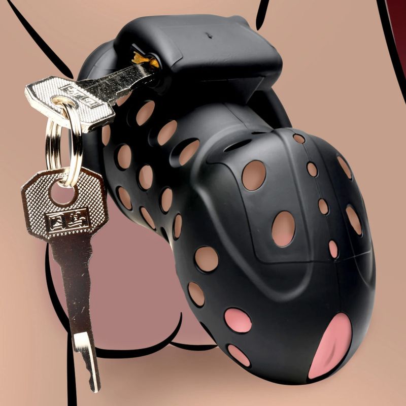 Lock Down Adjustable Chastity Cage with Secure Locking Mechanism for Men Secondary image