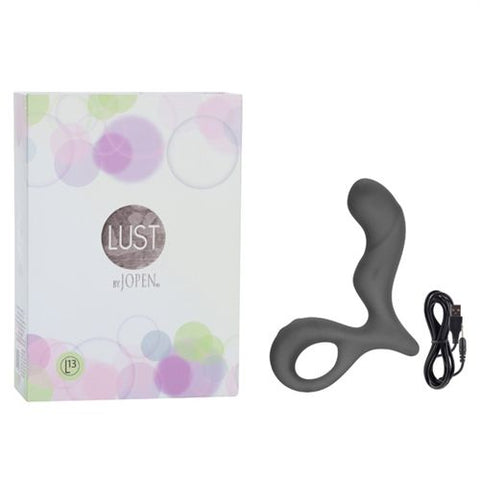 Lust L13 Grey Rechargeable Silicone Adult Vibrator with Controls ANAL TOYS