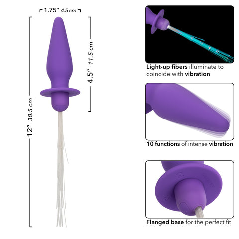 Southern Lights™ Vibrating Light Up Anal Probe Purple Silicone with 10 Functions and USB Rechargeable Butt Plugs - Vibrating
