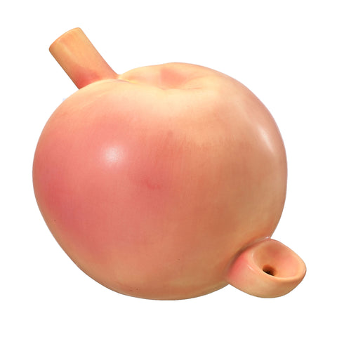 Fashioncraft Peach Pipe Smoking Pipe Novelty Gift Accessory Default Title Gag Gifts & Novelties