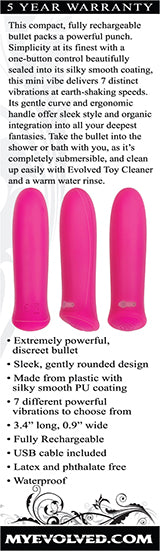 Pretty In 8.6 Centimeter USB Rechargeable Bullet Vibrator BULLETS
