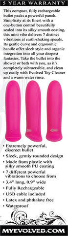 Pretty In 8.6 Centimeter USB Rechargeable Bullet Vibrator BULLETS