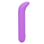 Bliss Liquid Silicone Mini G Vibe Purple 10 Speeds > Sex Toys For Ladies > G-Spot Vibrators