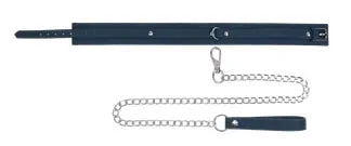 Signature Twilight Tease Silicone Collar With Detachable Leash