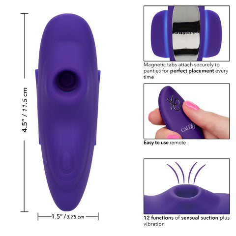 Lock-N-Play Remote Suction Panty Teaser with Vibrations Purple BULLETS