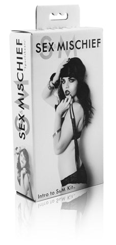 Sex & Mischief 3 Piece Intro to S&M Kit with 40 cm Whip Whips & Paddles