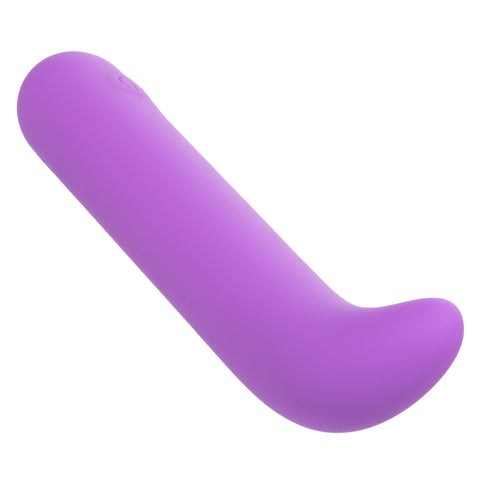 Bliss Liquid Silicone Mini G Vibe Purple USB Rechargeable 10 Speeds BULLETS