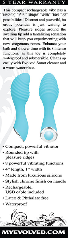 Little Dipper 4 Inch USB Rechargeable Mini Vibrator BULLETS