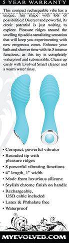 Little Dipper 4 Inch USB Rechargeable Mini Vibrator BULLETS