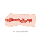 Crazy Bull Linda Masturbator Sleeve – Skin-Safe Masturbator Sleeve > Sex Toys For Men > Masturbators > Manual