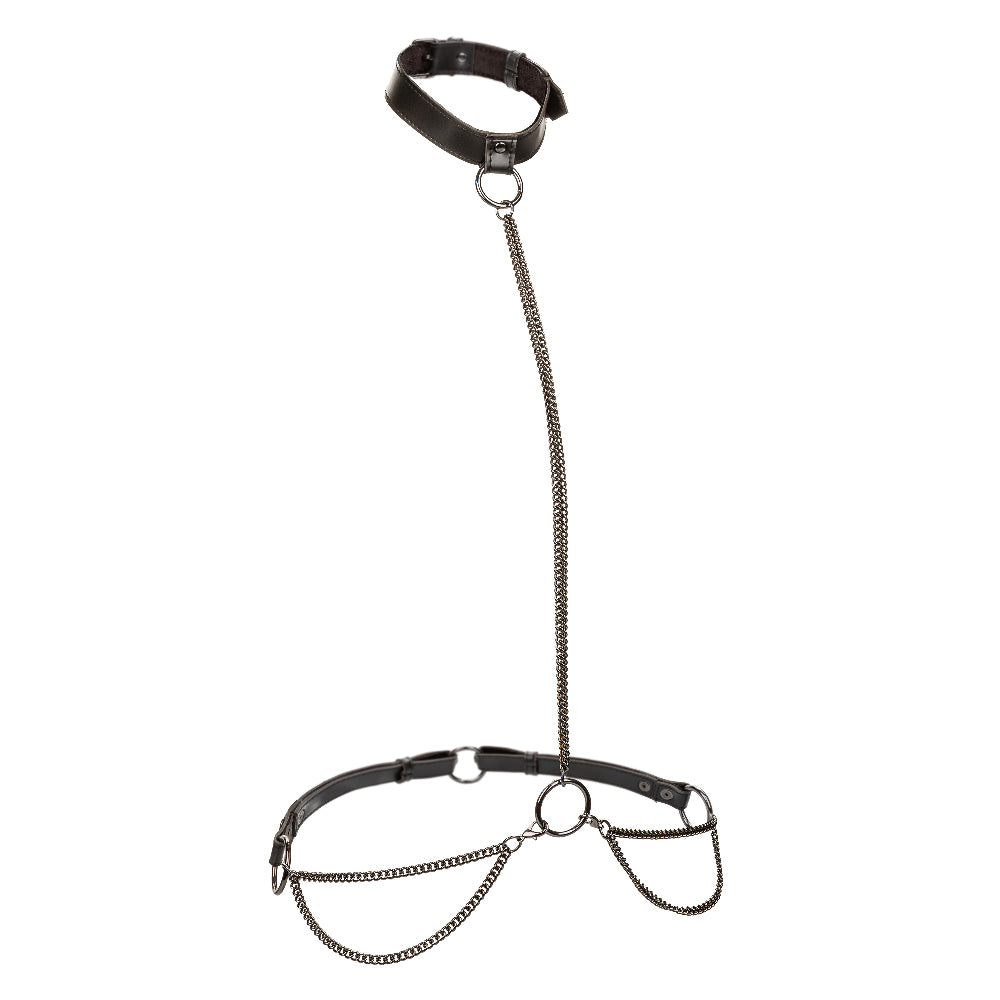 Euphoria Collection Plus Size Black Chain Halter Collar and Leash Set with Velvet Lining and Vegan Leather > Clothes > Womens Harnesses