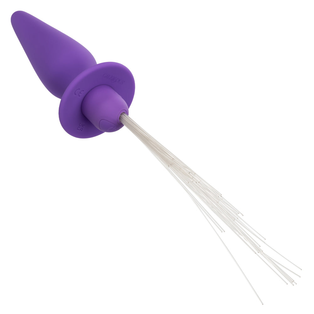 Southern Lights™ Vibrating Light Up Butt Plug Purple Silicone Rechargeable > Anal Range > Vibrating Butt Plugs