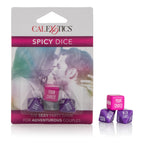 Spicy Dice – Couples Game Default Title > Novelties > Games