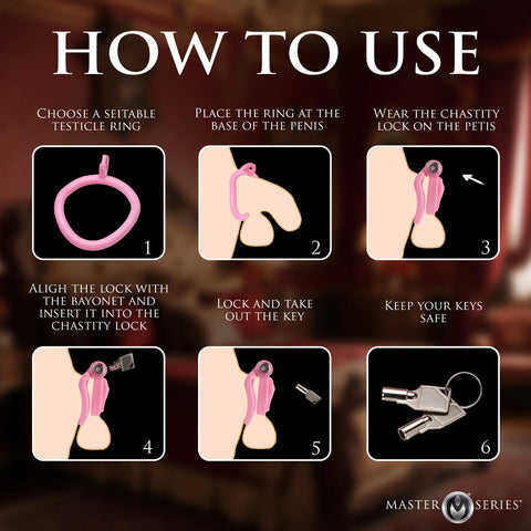 Master Series Pussification Vulva Chasity Cage Cages
