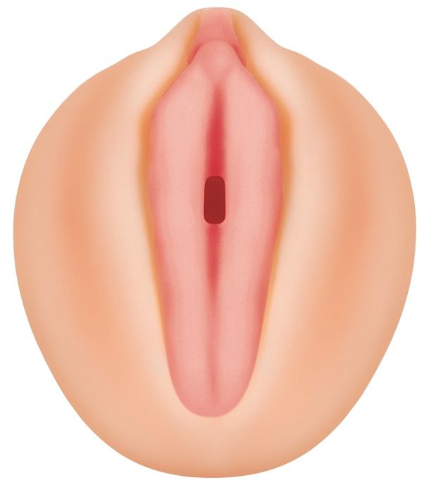 Alexis Texas Realistic Vagina Stroker with Movie Download Code Strokers - Celebrity