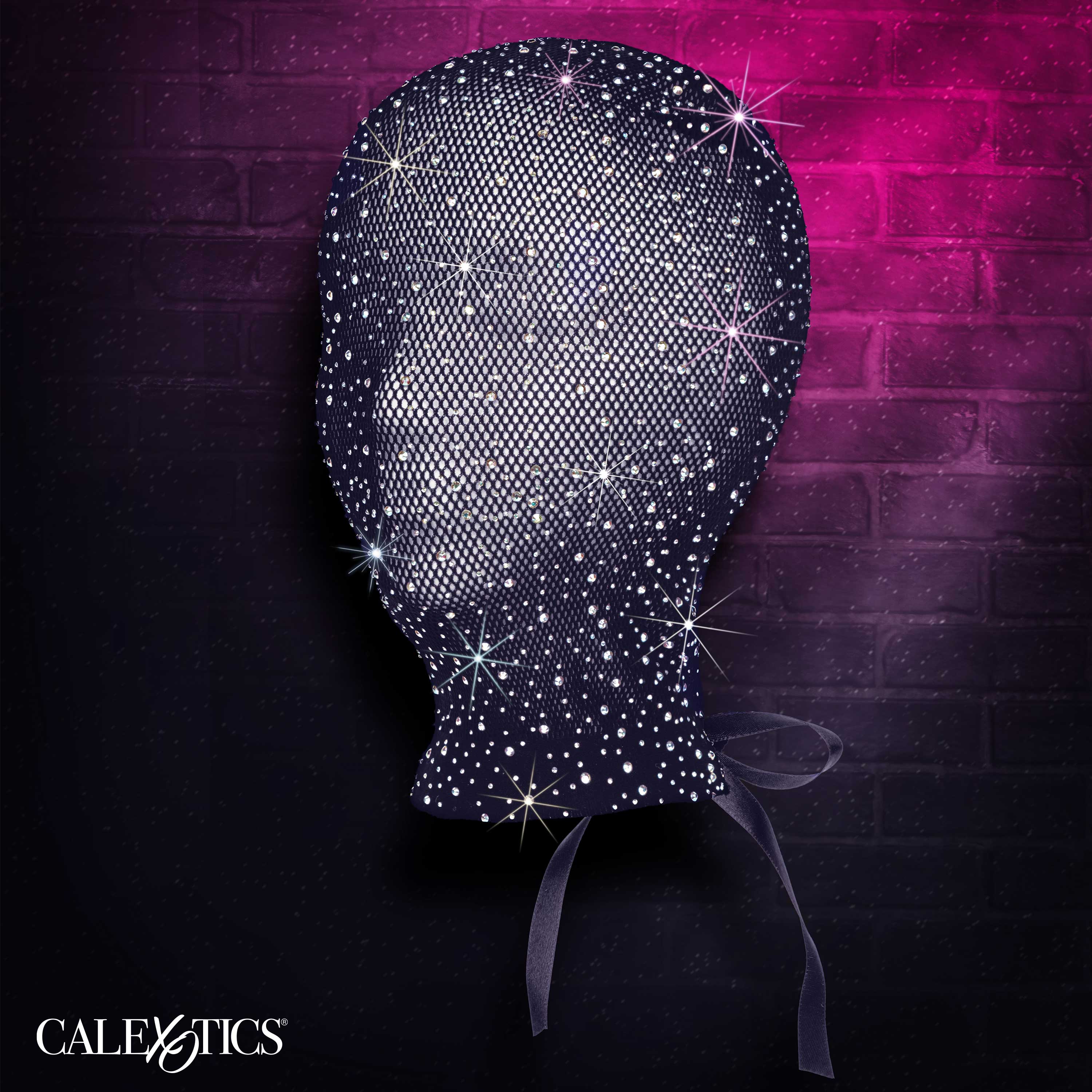Radiance Full Hood Cover Black Mesh with Shimmering Accents One Size > Bondage Gear > Bondage Hoods