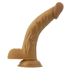 Latin American 8 Inch Realistic Dong with Balls and Suction Base > Dildos > Realistic Dildos