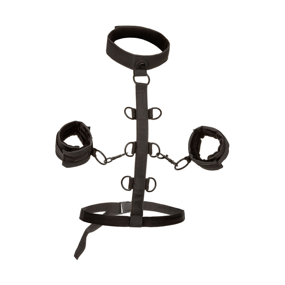Boundless Collar Body Restraint – Adjustable Body Restraint > Bondage Gear > Restraints Main image