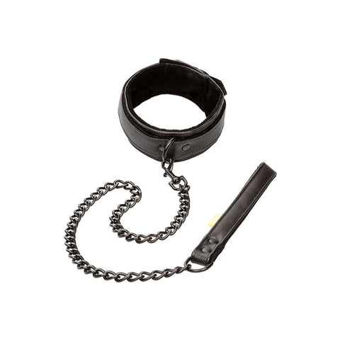 Boundless Collar and Leash > Bondage Gear > Collars