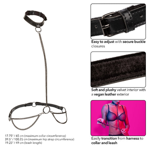 Euphoria Collection Chain Halter Collar and Leash with Velvet Lining and Adjustable Buckle in Black Womens Harnesses