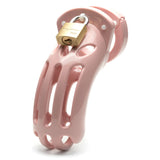 The Curve Chastity Cock Cage Kit -