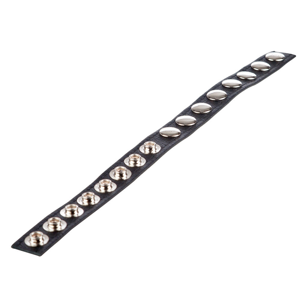 Colt 8 Snap Fastener Leather Strap – Luxury Leather Bondage Strap > Clothes > Mens Leather