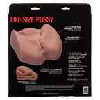 Stroke It Life Size Pussy – Realistic Life-Size Male Masturbator Toy > Sex Toys For Men > Assbators
