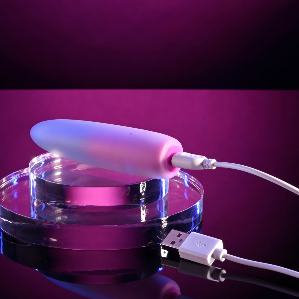 Evolved Paradise Bullet Pink Purple 10.2 cm USB Rechargeable Mini Vibrator BULLETS