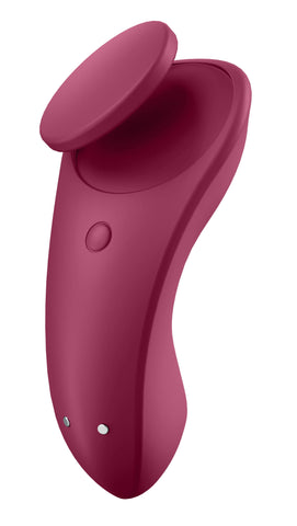 Satisfyer Partner Box 1 – Double Joy and Sexy Secret App-Controlled Vibrators > Sex Toys > Couples Toys