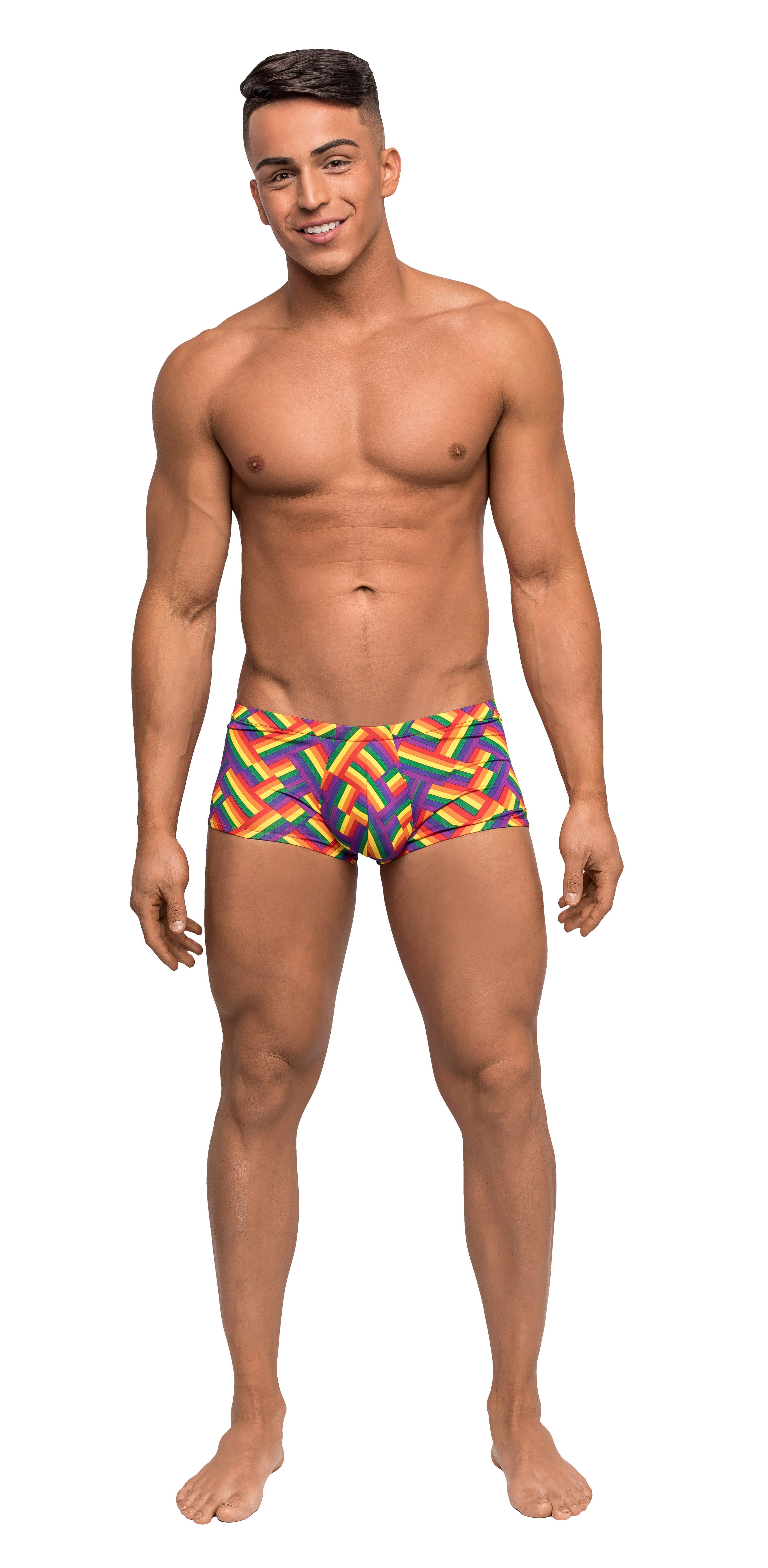 Male Power Pride Fest Mini Short Boxer Briefs Medium Size Fit Multi Mens Trunks