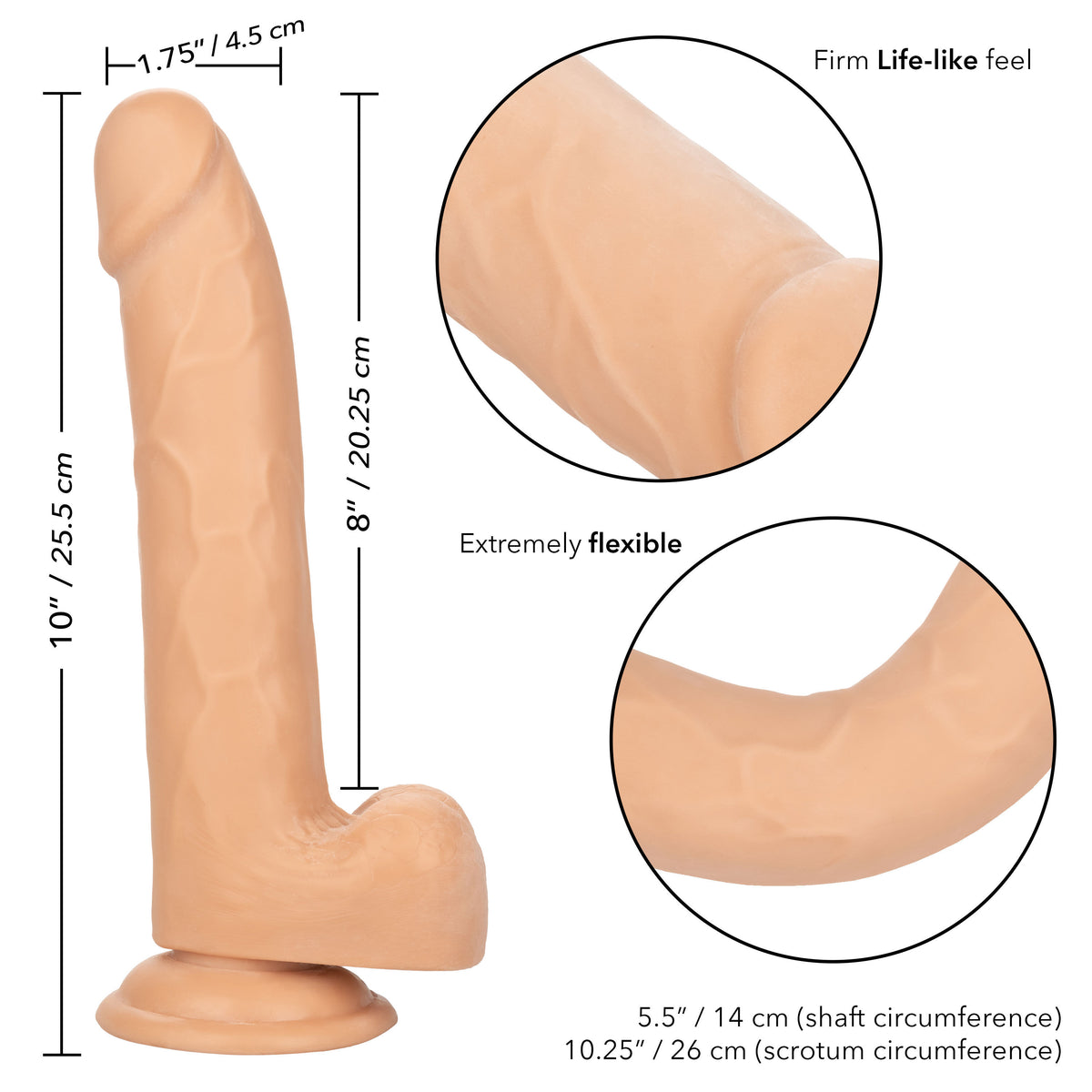 Size Queen 8 Inch Realistic Dong > Dildos > Realistic Dildos