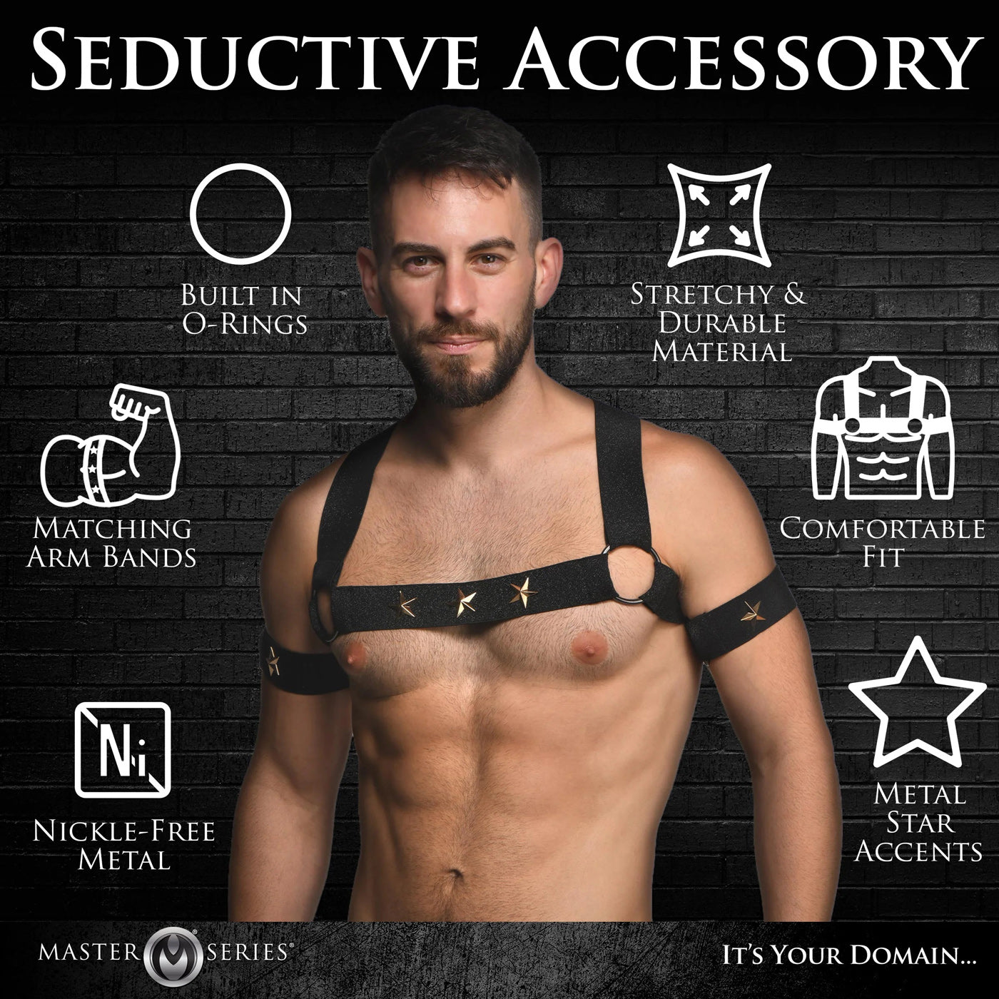 Star Boy Male Chest Harness With Arm Bands Black Small Medium Mens Harnesses