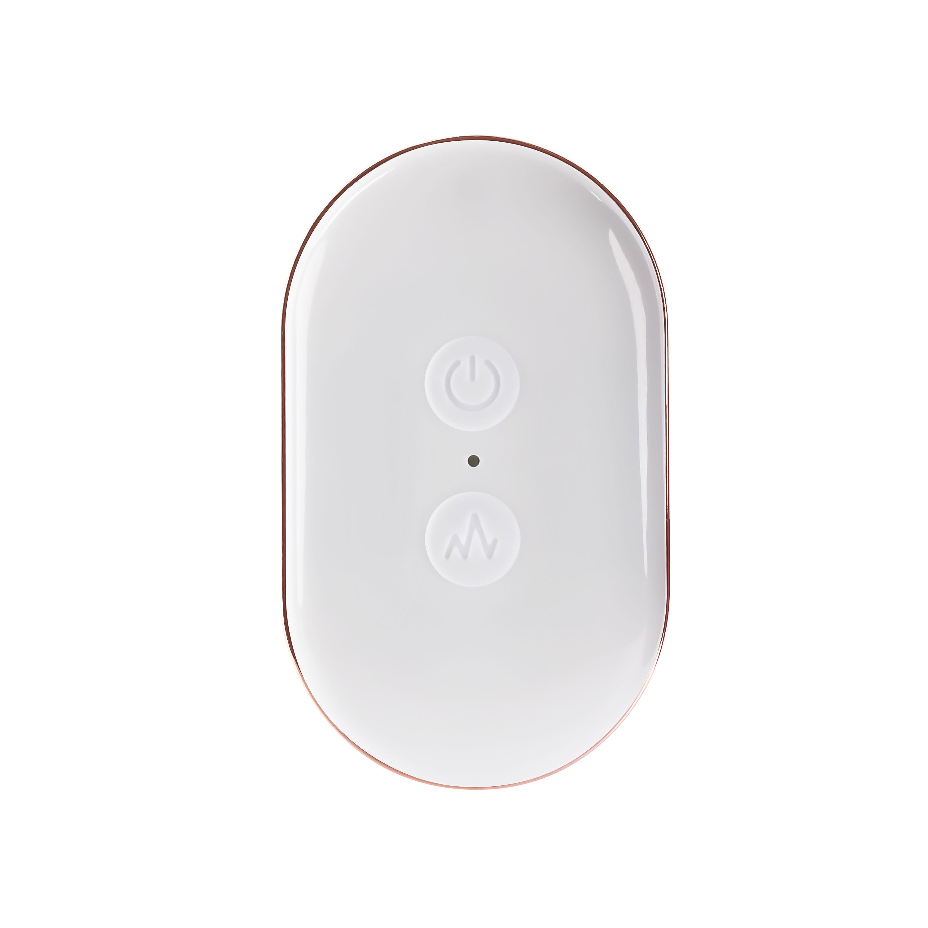 Eager Egg Plum Wireless Vibrating Adult Intimacy Toy Set EGGS