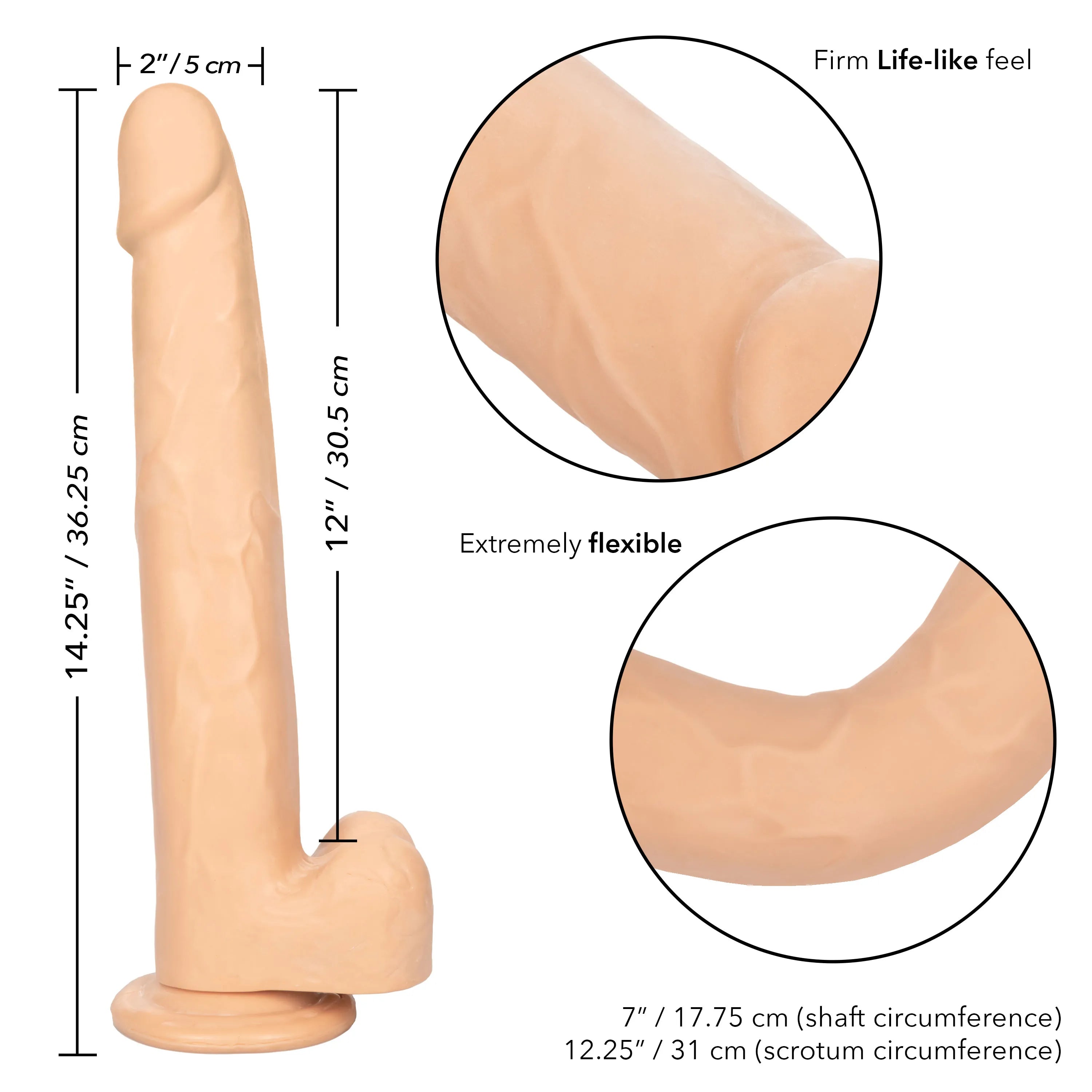 Size Queen 12 Inch Realistic Dildo – Firm 30.5 Cm Dildo > Dildos > Large Dildos