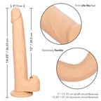 Size Queen 12 Inch Realistic Dildo – Firm 30.5 Cm Dildo > Dildos > Large Dildos