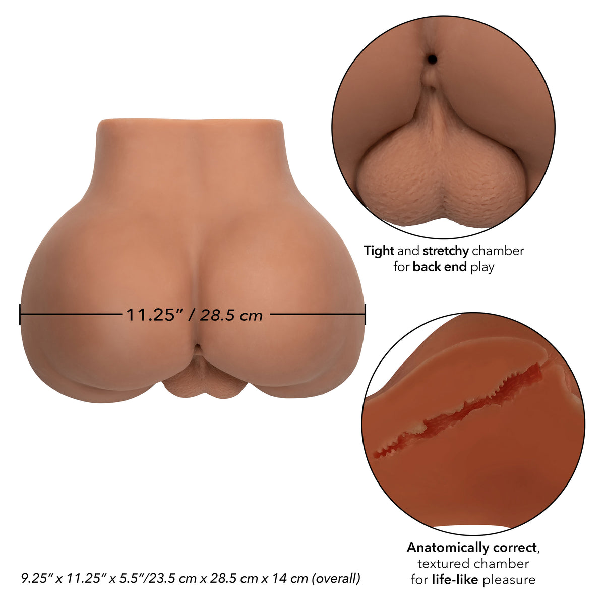 Stroke It Bottom Banger Realistic Anal Masturbator in Brown > Sex Toys For Men > Assbators