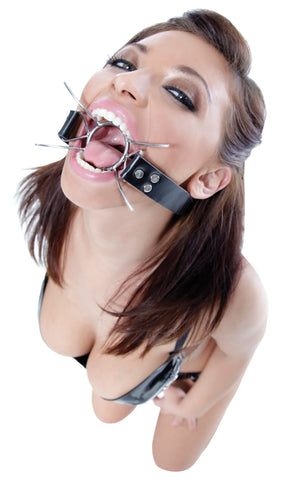 Fetish Fantasy Extreme Spider Gag – Steel Ring Wide-Open Gag > Bondage Gear > Gags and Bits