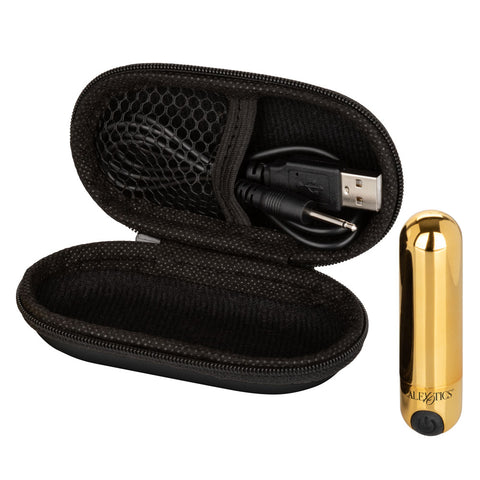 Rechargeable Hideaway Bullet Petite Vibrating Massager with Case BULLETS