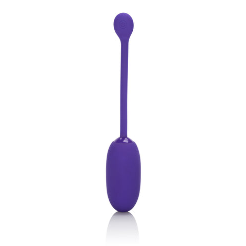 Rechargeable Kegel Ball Vibrator with 12 Functions Purple Silicone > Sex Toys For Ladies > Kegel Exercise