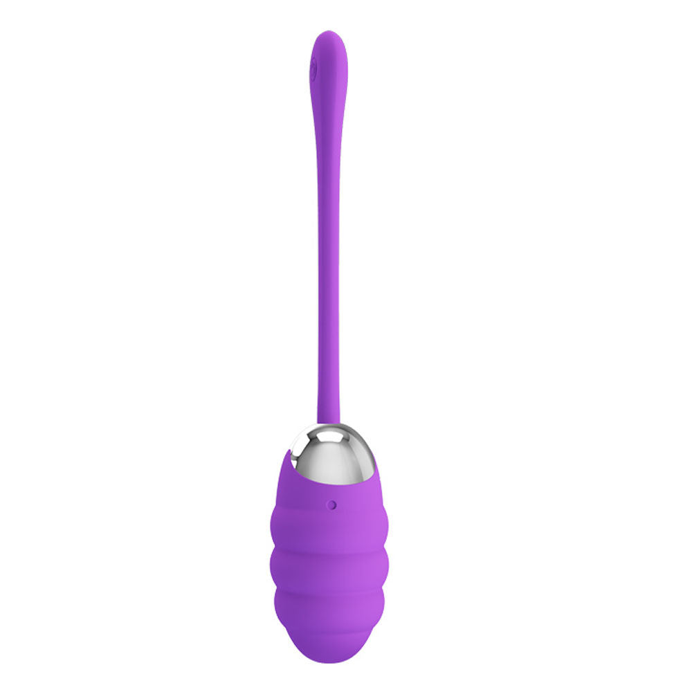 Pretty Love Franklin Rechargeable Egg Vibrator in Purple Silicone BULLETS