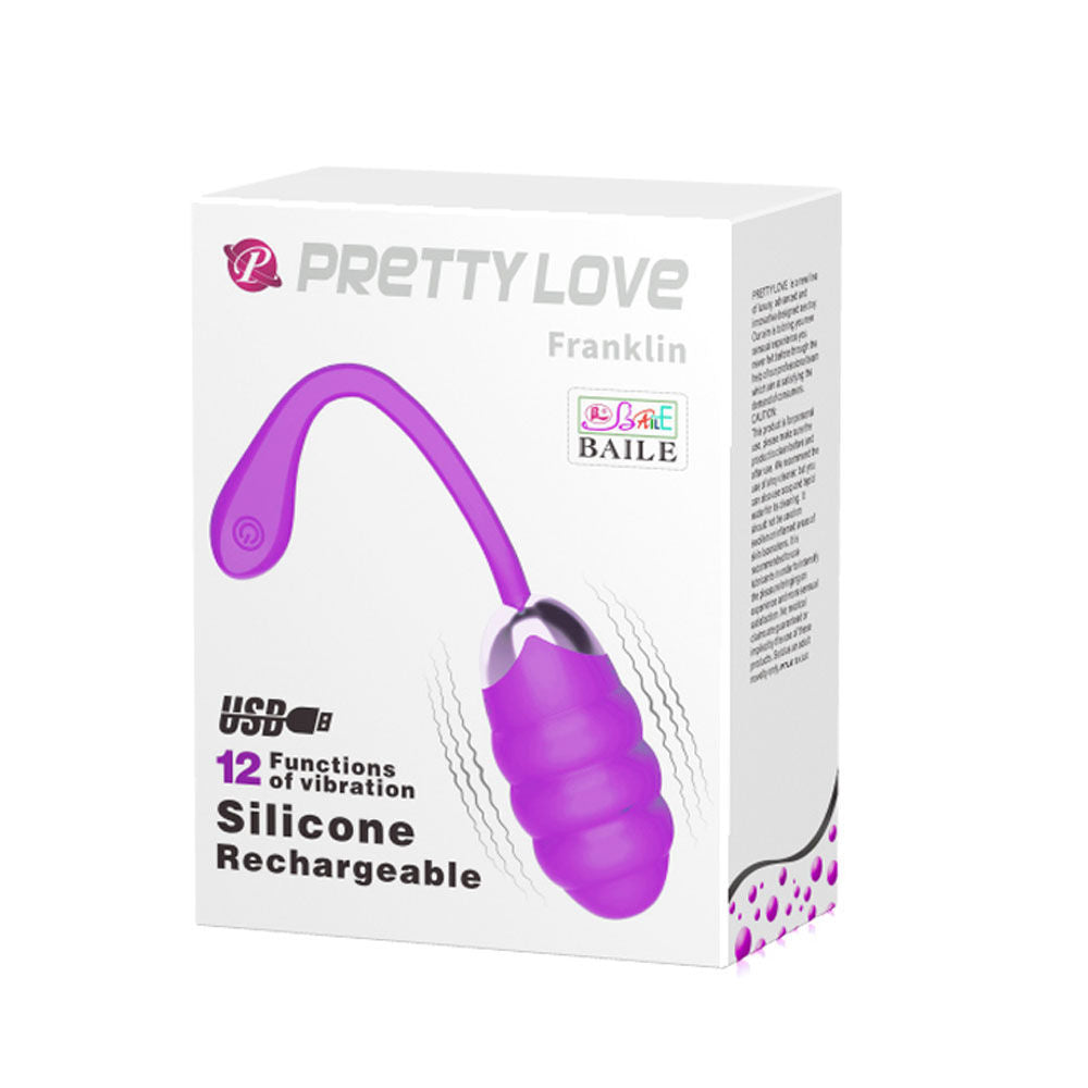 Pretty Love Franklin Rechargeable Egg Vibrator in Purple Silicone BULLETS