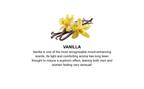 Kama Sutra Sex Magnet Pheromone Massage Oil Vanilla Amber > Essentials > Massage Oil